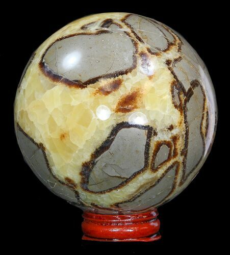 Polished Septarian Sphere - With Stand #43860